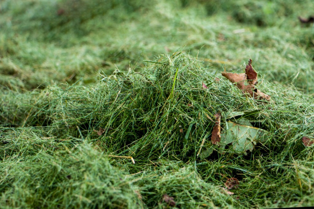 Blog 1.10 Grass Clipping Disposal