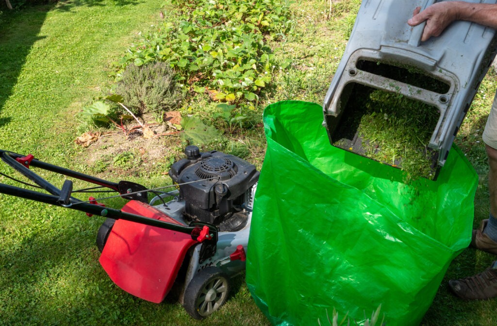 Grass Clippings Leaves and Tree Limbs