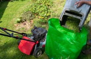 Grass Clippings Leaves and Tree Limbs